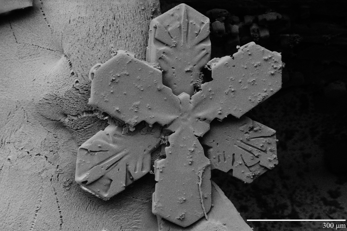 Copo de nieve al microscopio electrónico de bajas temperaturas