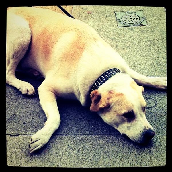 Foto tomada con la app Instagram para iPhone por Veronica Belmont