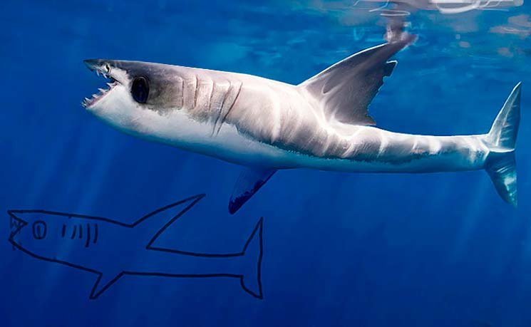 El dibujo infantil de un tiburón y el de un artista profesional