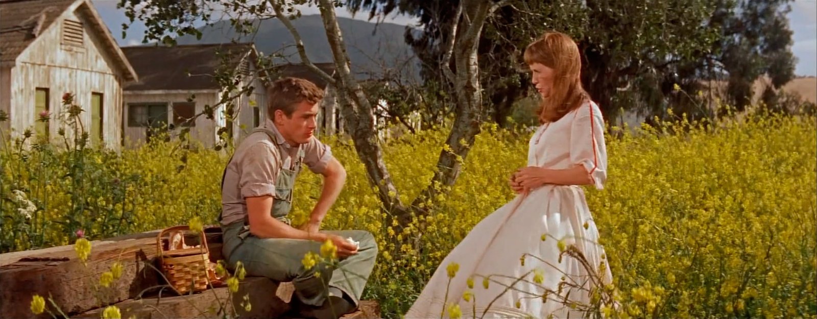Al este del edén (1955)