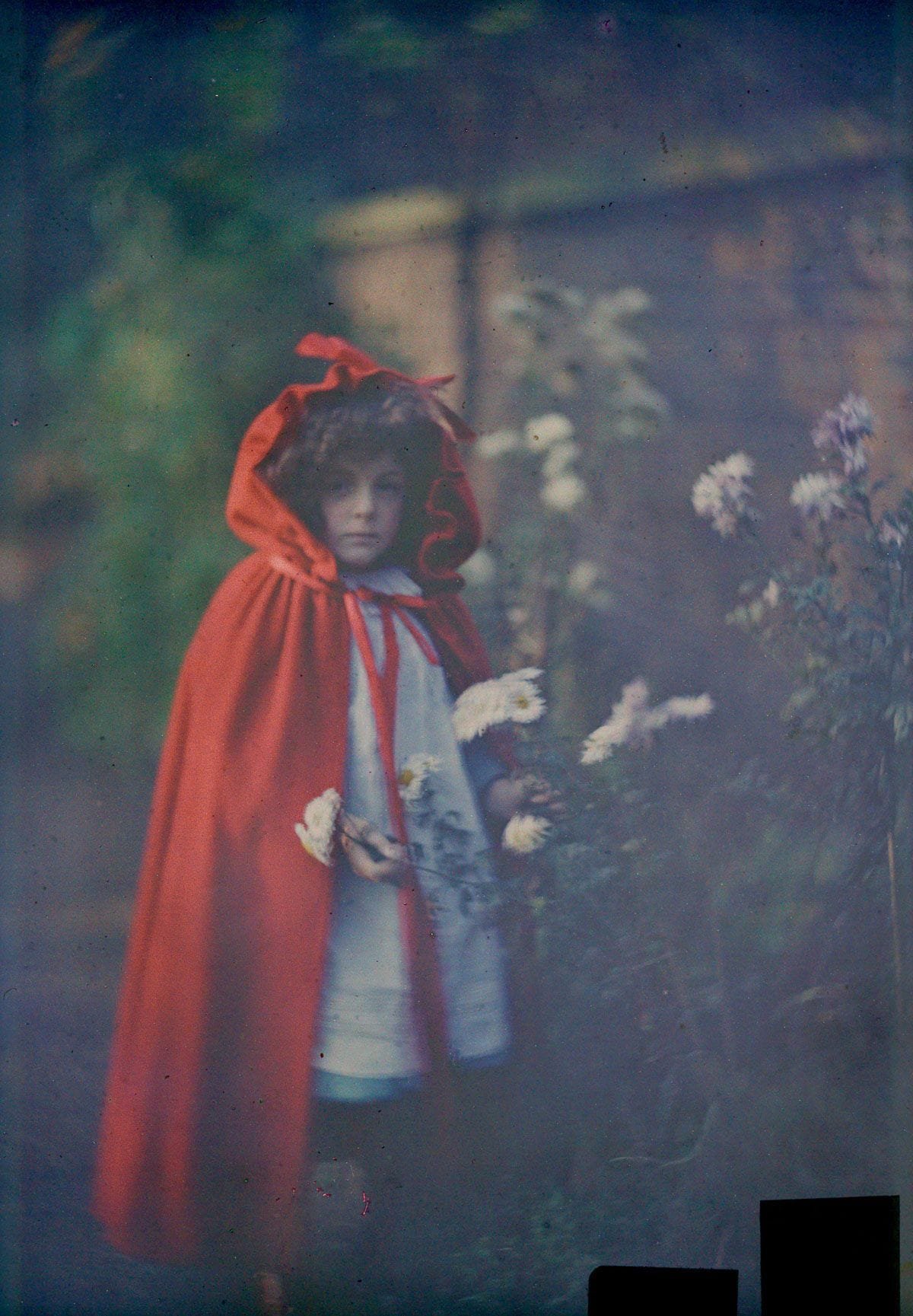 1907 "Joan in Red Riding Hood cape with basket."