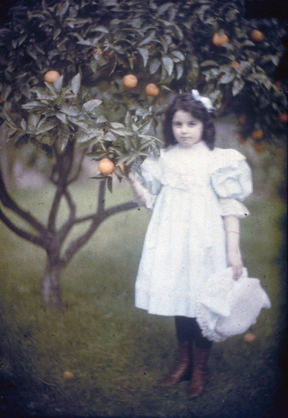 1909
