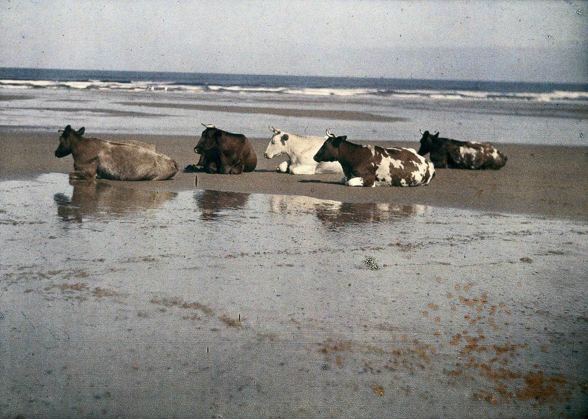 1915 "Saltburn Sands."